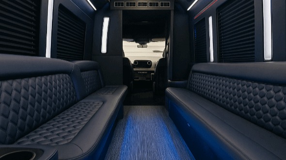 manhattan 20 passenger party bus